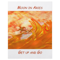 Aries Adventure Custom Flyer