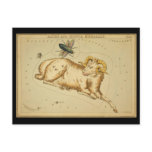 Aries and Musca Borealis Post Cards