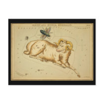 Aries and Musca Borealis postcards by ZephyrusBooks Aries and Musca Borealis postcards