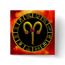 ARIES buttons