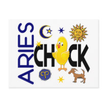 Aries Chick 1 Post Card