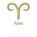Aries gold symbol t-shirt