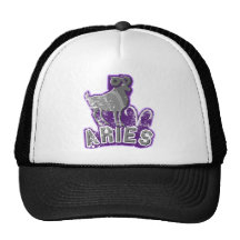 aries mesh hat