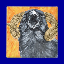Aries Raven watercolor magnets