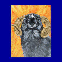 Aries Raven watercolor postcards