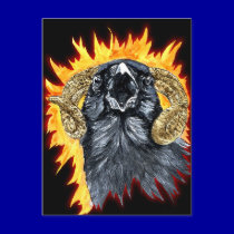 Aries Raven watercolor postcards