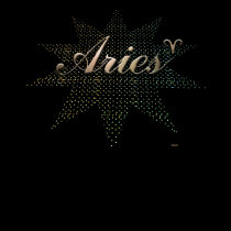 Aries T-Shirt