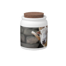 Aries the Ram in March Candy Jars