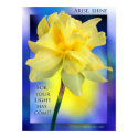 "Arise, Shine!" Canvas print by dollargrafix "Arise, Shine!" Canvas print