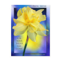 Arise, shine, for your light has come! Postcard