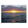 Arise Shine Tract Cards / Business Card Template