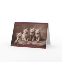 Aristocrats cards by CircesLair Aristocrats cards