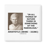 Aristotle All Things Of Nature Something Marvelous Magnet