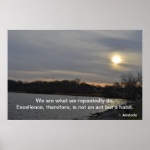Aristotle - Excellence Posters