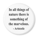 Aristotle Quote 5a Magnet