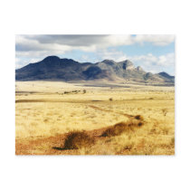Arizon Post Cards