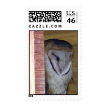 Arizona Barn Owl In Prescott, Arizona postage by Congress_Arizona Arizona Barn Owl In Prescott, Arizona postage