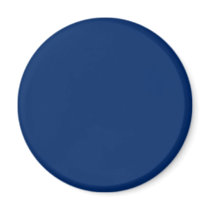 Arizona Blue Fridge Magnet