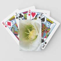 Arizona Cactus Bloom by Ann Finster playing cards