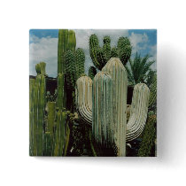 Arizona Cactus Pinback Buttons