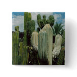 Arizona Cactus
