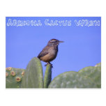 Arizona Cactus Wren Post Cards