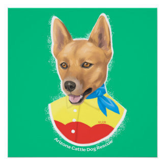 az cattle rescue blue heeler posters zazzle az cattle rescue blue heeler posters zazzle