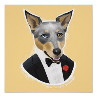 az cattle rescue blue heeler posters zazzle az cattle rescue blue heeler posters zazzle