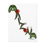Arizona Chili Peppers Postcards
