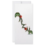 Arizona Chili Peppers rack cards