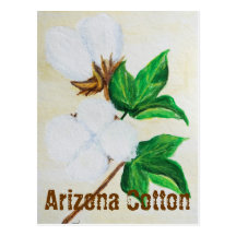 Arizona Cotton Facts Postcard