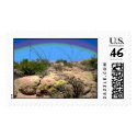 Arizona Desert postage