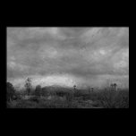 Arizona Desert Print posters
