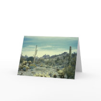 Arizona Desert Southwest cards