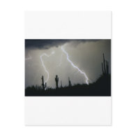 Arizona Desert Storm Postcards