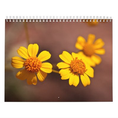 Arizona Flowers Wall Calendar Arizona Flowers Wall Calendar