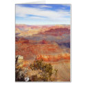 Arizona Grand Canyons cards