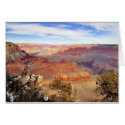 Arizona Grand Canyons cards