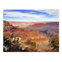 Arizona Grand Canyons Post Card