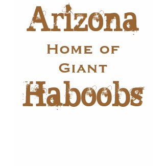 Arizona Haboobs shirt