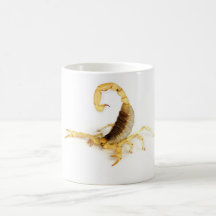 Arizona Hairy Scorpion. Coffee Mug