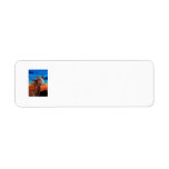 Arizona Horse Return Address Labels