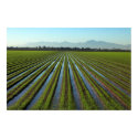 Arizona Irrigation posters by 2wheeldigitalworks Arizona Irrigation posters
