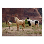Arizona, Navajo Indian Reservation, Chinle, Greeting Card
