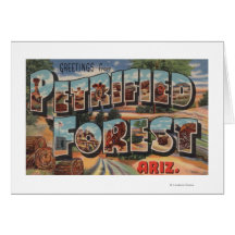 Arizona - Petrified Forest - Large Letter Card