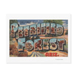 Arizona - Petrified Forest - Large Letter Postcards