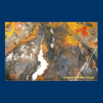 Arizona Petrified Wood posters