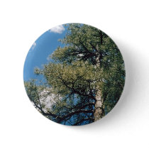Arizona Pine buttons