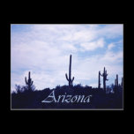 Arizona Postcard postcards