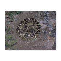 Arizona postcards